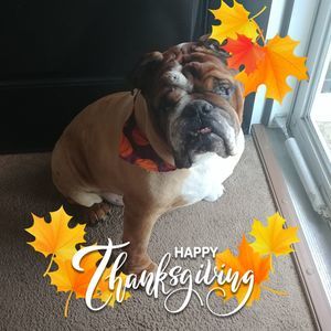 Meet your Posher, Brenda